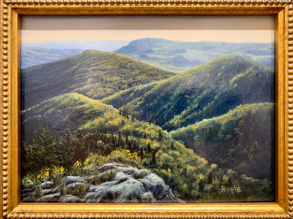 “Evening View from Devils Courthouse” Original Framed Oil Painting on Board