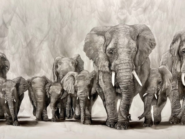 “The Elephant Family” Original Fumage Drawing on Clay Board/Custom Framed