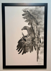 “Golden Eagle” Original Fumage Drawing on Clay Board