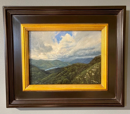 “Summer Storm near Craggy Gardens” Original Framed Oil Painting on Linen