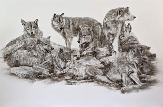 "A Family of Timber Wolves” Fumage Drawing on Clay Board