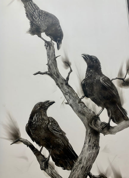 “Three Ravens” Fumage Drawing on Clay Board