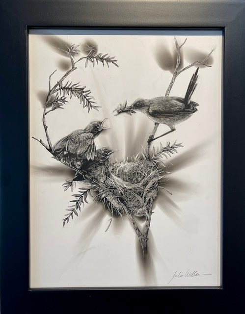 “Carolina Wren Chicks” Fumage Drawing on Clay Board