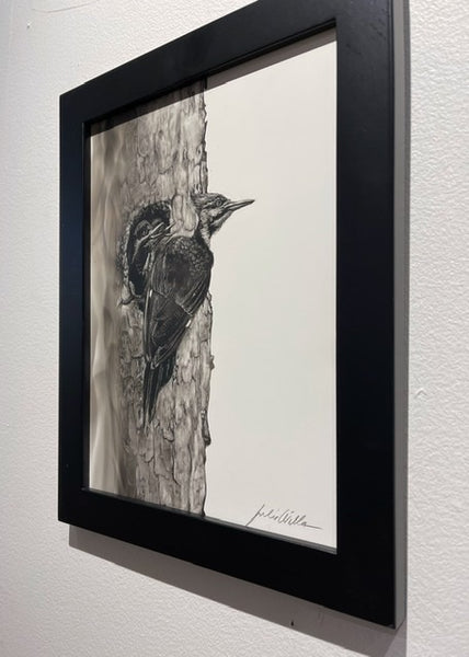 “Pileated  Woodpecker and Chicks” Fumage Drawing on Clay Board