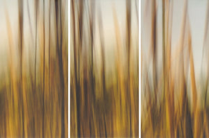 "SIMPLICITY OF BEING" PHOTOGRAPHY/ENCAUSTIC BEESWAX - TRIPTYCH