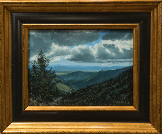 "Field Study Overlooking Bear Trap Gap” Original Framed Oil Painting