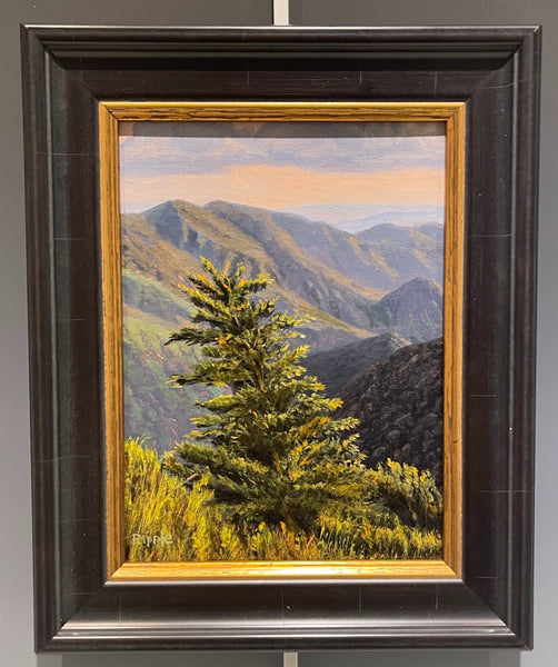 "PINE STUDY COWEE MTN OVERLOOK" Original Framed Oil Painting