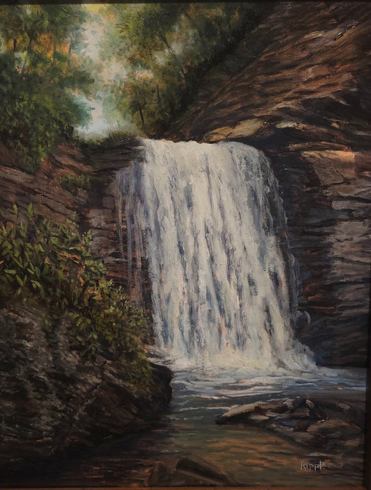 QUIET MORNING LOOKING GLASS FALLS" Original Framed Oil Painting