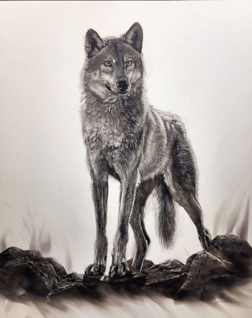 "LONE WOLF" Original Fumage Drawing on Clay Board/Framed