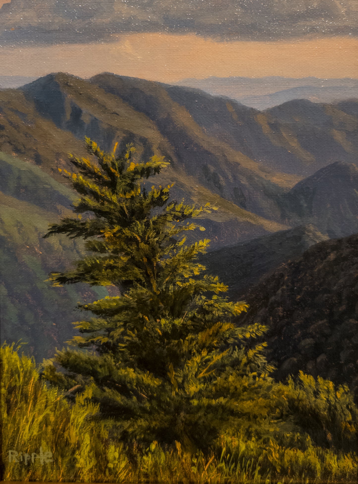 "PINE STUDY COWEE MTN OVERLOOK" Original Framed Oil Painting